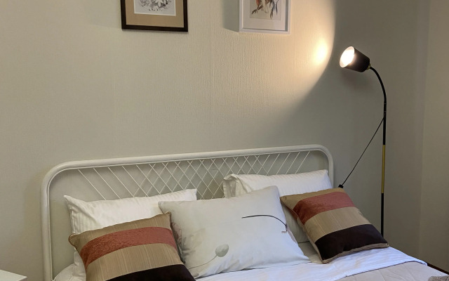 Квартира уютная и просторная студия в Петергофе