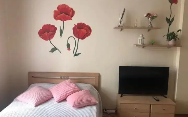 Апартаменты Студия на канале Грибоедова