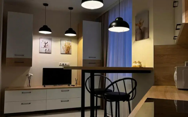 Квартира Шикарная студия в Спутнике