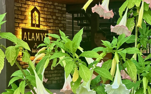 Отель Аламыс