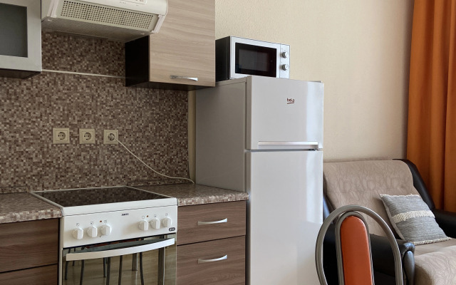 Апартаменты Apartanik