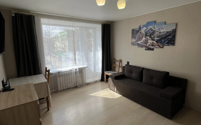 Квартира уютная рядом с парком в Павловске