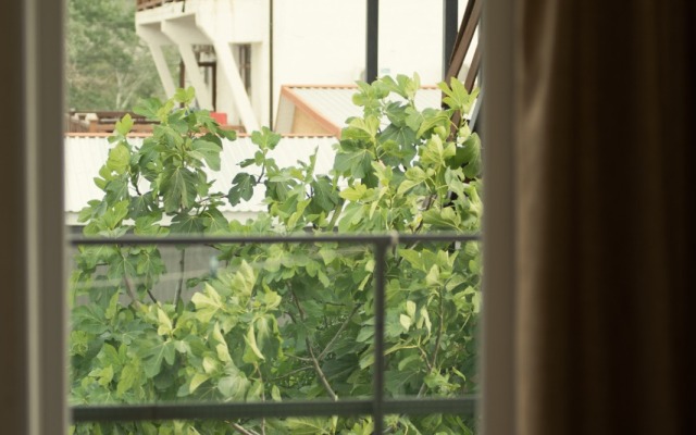 Zeleny Ostrov Sudak Guest house