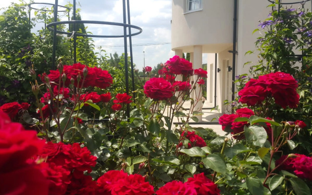 Zen S Vannoj SPA I Terrasoj Villa
