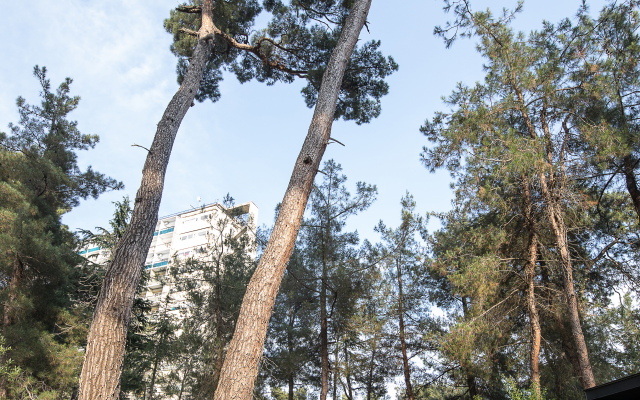 Abna Hotel