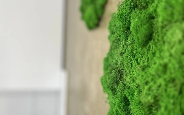 Апартаменты Skazka Green House 1