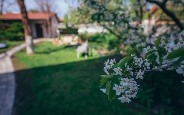 V Tsentre Goroda S Zelenym Sadom Private house