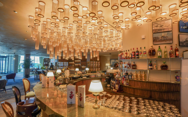 Domina Pulkovo Hotel