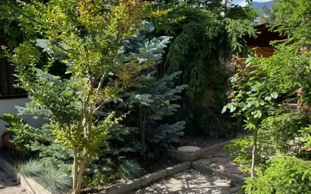 Yava Guest house