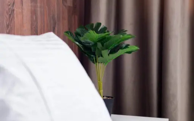 Апартаменты Делюкс Уютные в Подольске