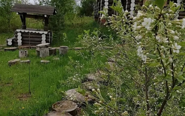 Usadyba Dobryni Nikiticha Hotel