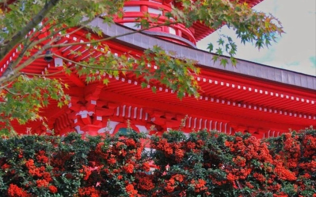 Апартаменты Сутки В Крд у Парка Галицкого