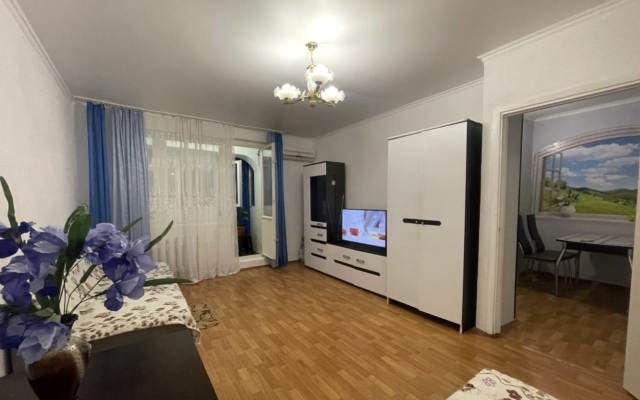 Pobeda 111 Flat
