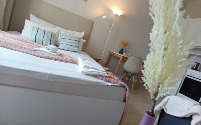 Квартира в непосредственной близости от красивейшего Пулковского парка