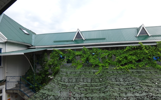 Belyij Parohod Guest House
