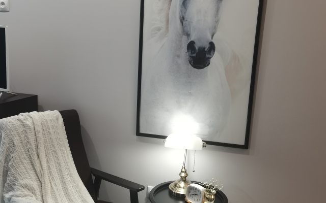 Апартаменты Еsenia Home - White Horce