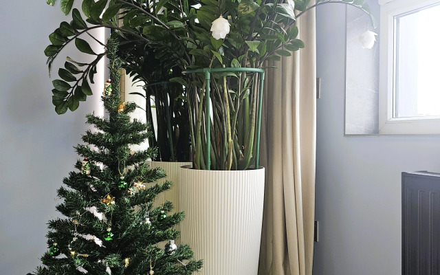 Апартаменты Люксовые