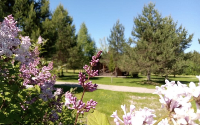 Na Chesnave Guest House