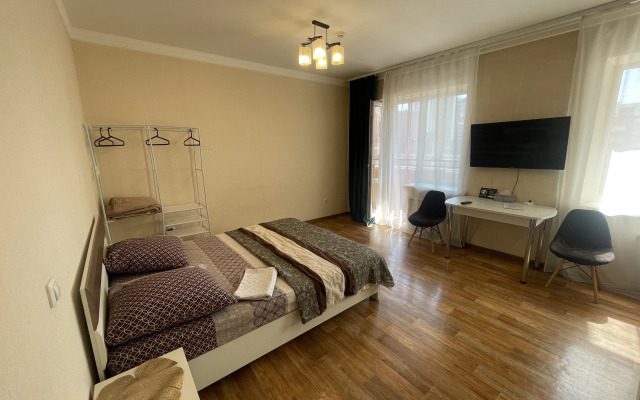 Квартира на Карла Либкнехта 112 (44)