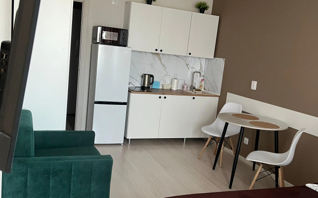 Studiya Sovetskaya 62b Flat