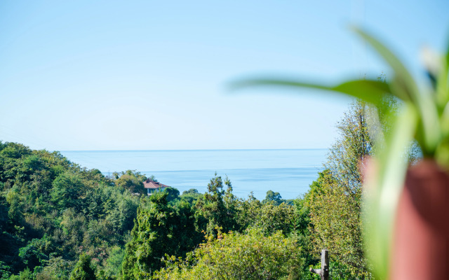 TreeHouse GoldenSeaView TreeHouse Private house
