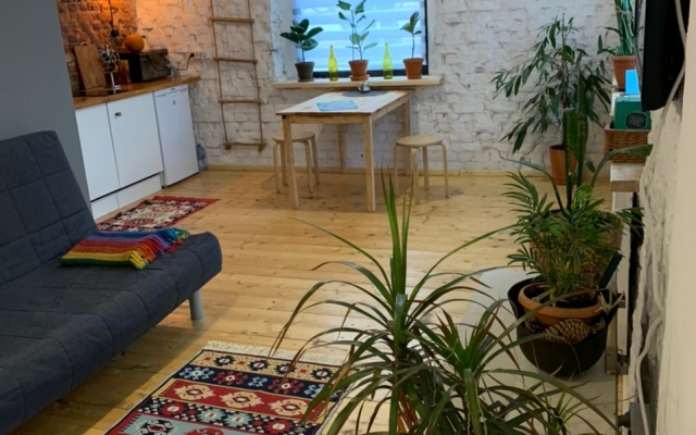 Tolstoy Art Hostel