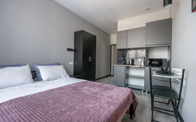 Studiya Na P. Romanova Apartments