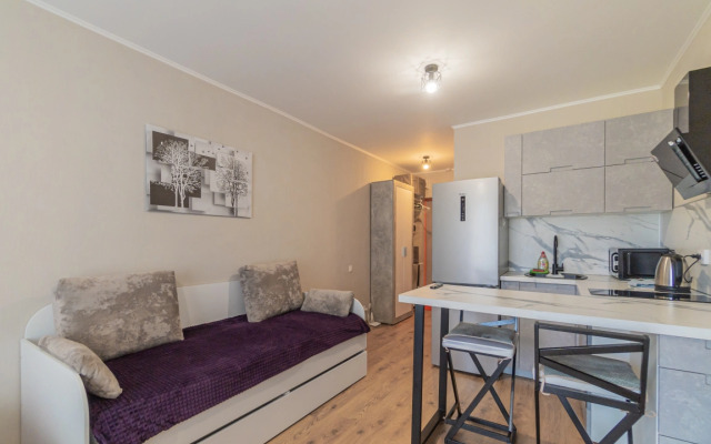 Апартаменты Улучшенные Трехместные SalutApart 8