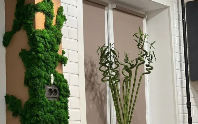 Квартира на Ломоносова 3А