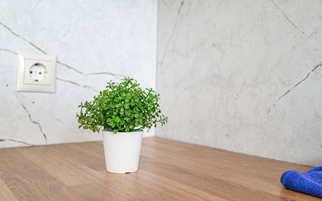 Апартаменты Место под солнцем 9