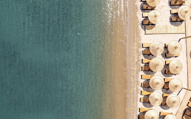 Mare Alba