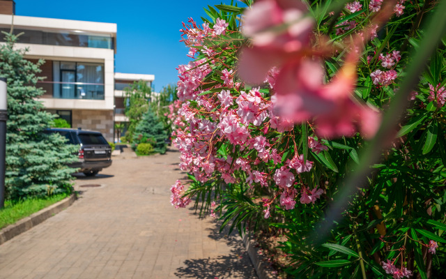Arfa Park-hotel