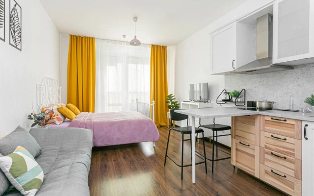 Studiya Na Lomonosovskoy Flat