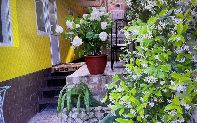 Guest House Omichka