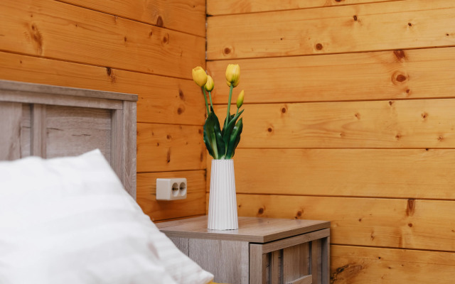 Mini-hotel Lemar