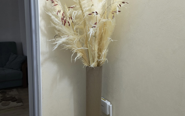 Квартира Apt у Центрального Стадиона