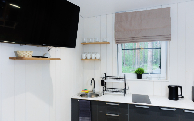 Частный дом Мох 3