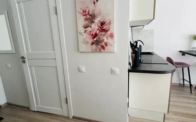 Flat Ctilnaya Studiya Na Doke