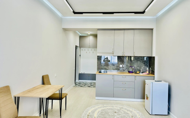 1 Komnatnaya Studiya V Novom Zhilom Dome 68/2 Apartments