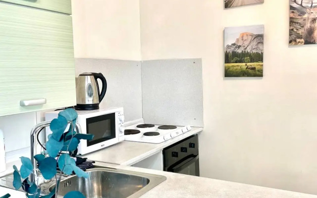 Квартира Уютная студия