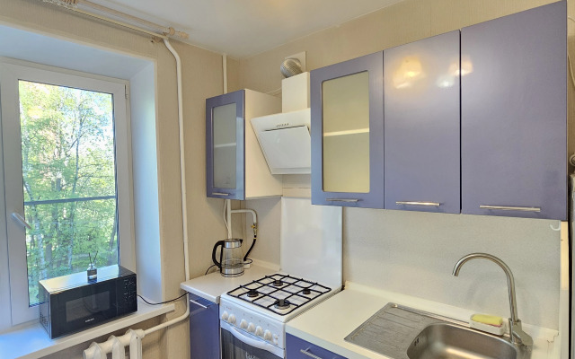 Odnokomnatnaya v Tikhom Dvore Flat