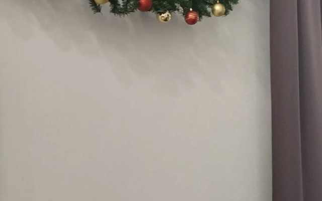 Апартаменты стильные чистые у Ледового дворца