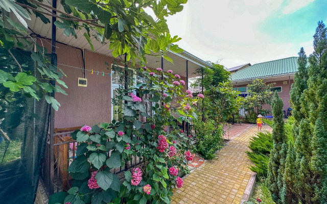 Private house Alfgid  1 Marina Molodezhnaya 53
