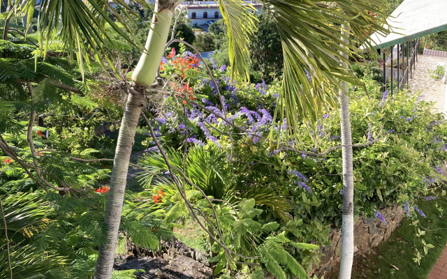 Отель Boundless Bliss Hotel