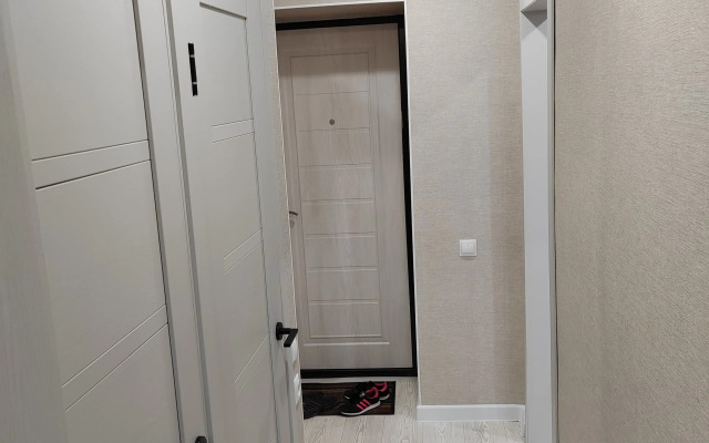 Квартира Суворова 2