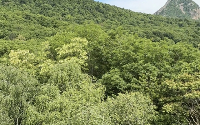 Квартира Бохо