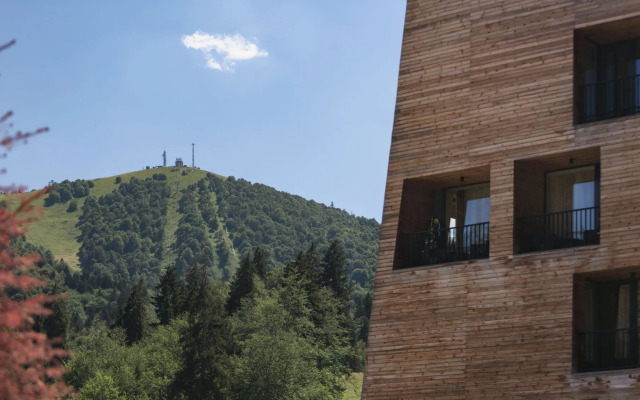 Курортный отель Kokhta Bakuriani