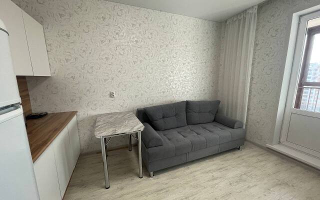 Uyutnaya Studiya Komfort+ Apartments