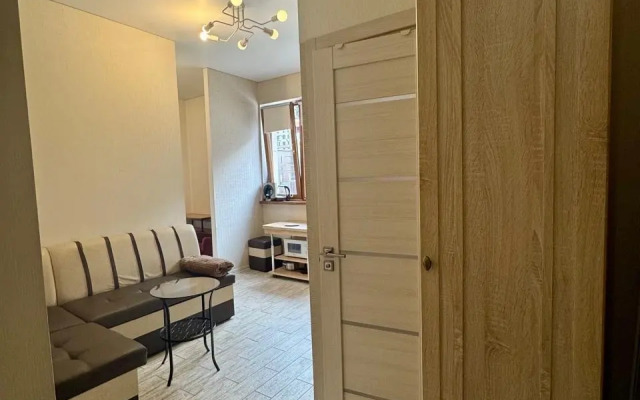 Studiya S Balkonom V Tsentre Estosadka Flat