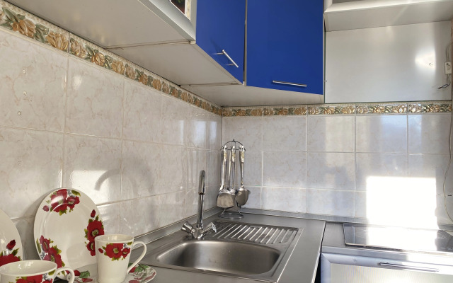 Na Lenina 127 Flat